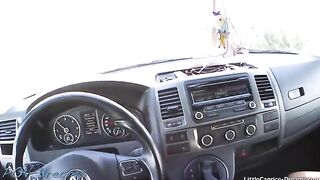 A sexy girl is having fun with the driver in the car