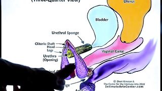 How to make a pussy squirt - the ultimate sex tutorial