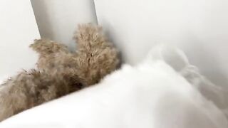 Sniffed panties and fucked curva in a wet pussy - Real Orgasm