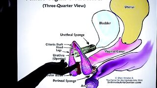How to Squirt?! Explained Fast! by Mr. PussyLicking