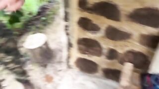 Couple making love outdoors gets caught in the jungle