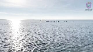 Amateur Latina with Big Ass gets fucked on the beach