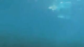 An aqualung is not just a device for breathing underwater, but also a symbol of masculinity