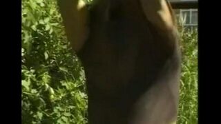 A man in the hayloft, masturbating his big cock with his hand