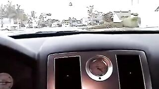 A cute girl made a blowjob right in the car, it was a risk