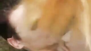 A young girl was walking in the park and got fucked