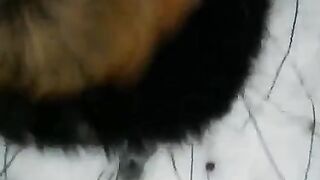 Winter street blowjob with a beautiful girl in stockings - very hot!