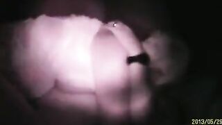A couple engages in passionate sex, hidden behind the wall