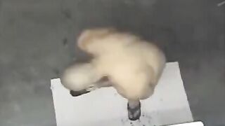 A naked man has been spotted in the shower by a hidden camera
