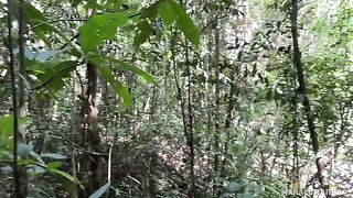 Fresh air and her warm lips on my cock in HD