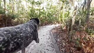 A hot guy had sex with his girlfriend in the jungle
