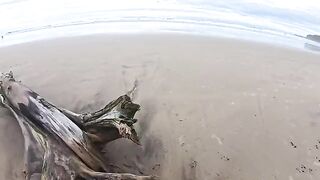 The beach is always wet - from the water and because of the heat